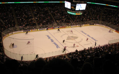 Detroit Red Wings vs Minnesota Wild