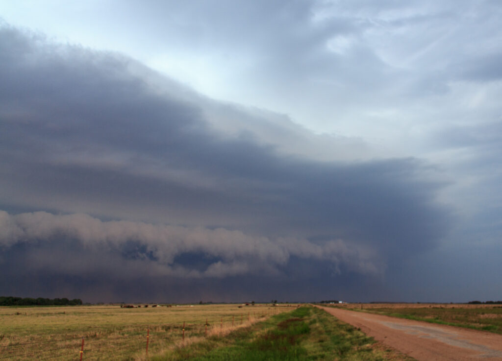 Ominous Shelf