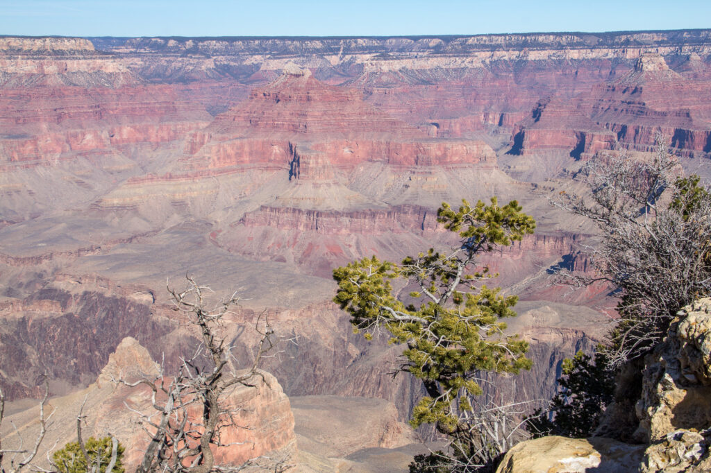 Grand Canyon