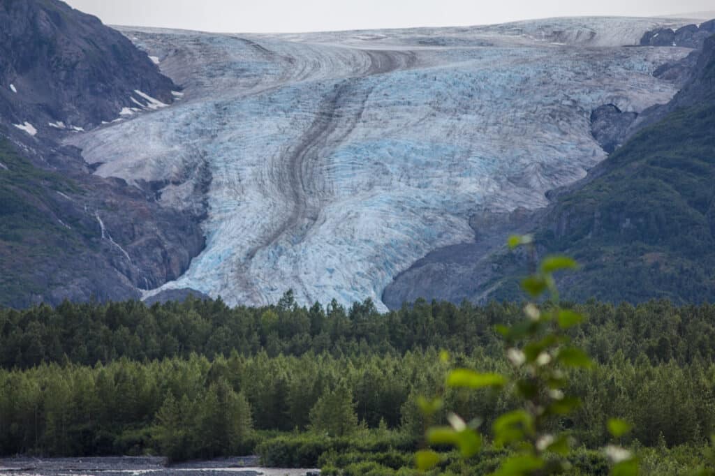 Exit Glacier at Kenai Fjords National Park