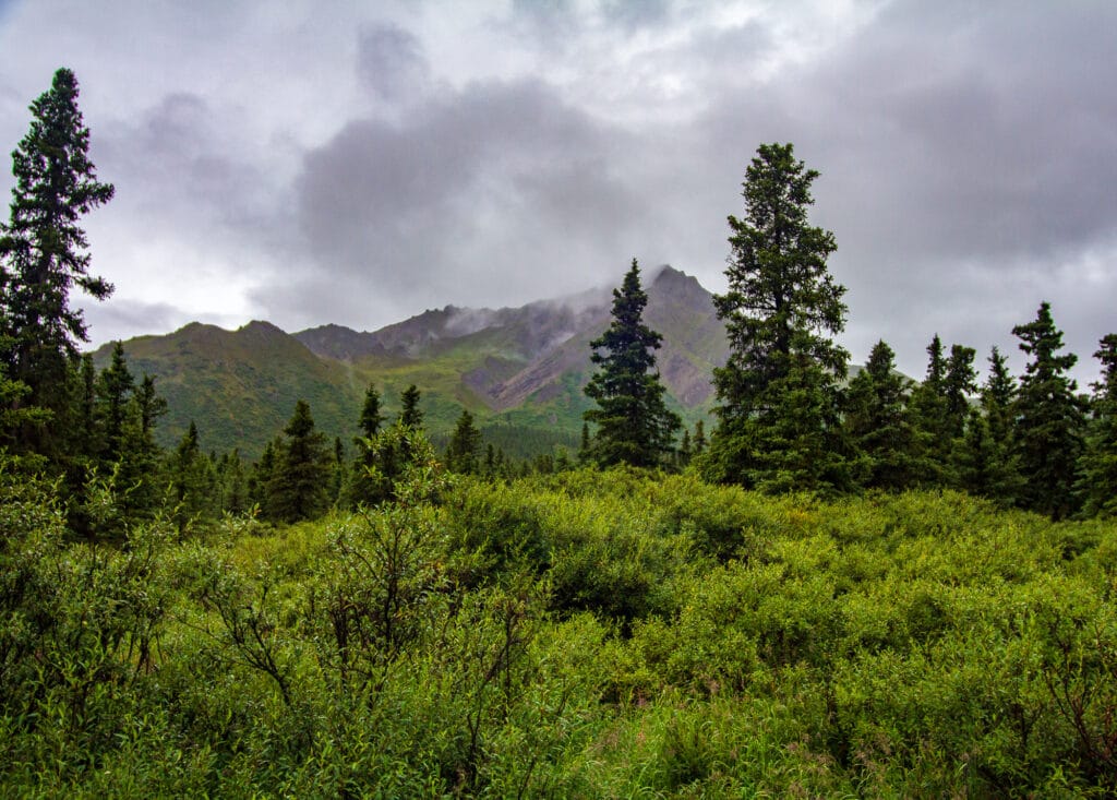 Polychrome Mountain