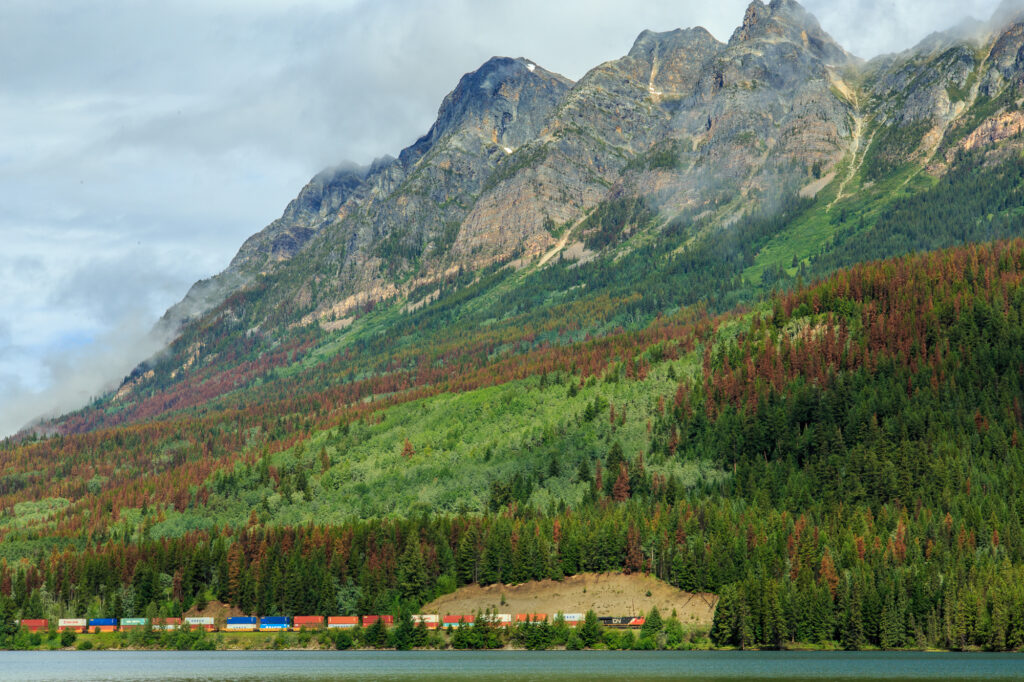 A Canadian National train next to Yellowhead Lake