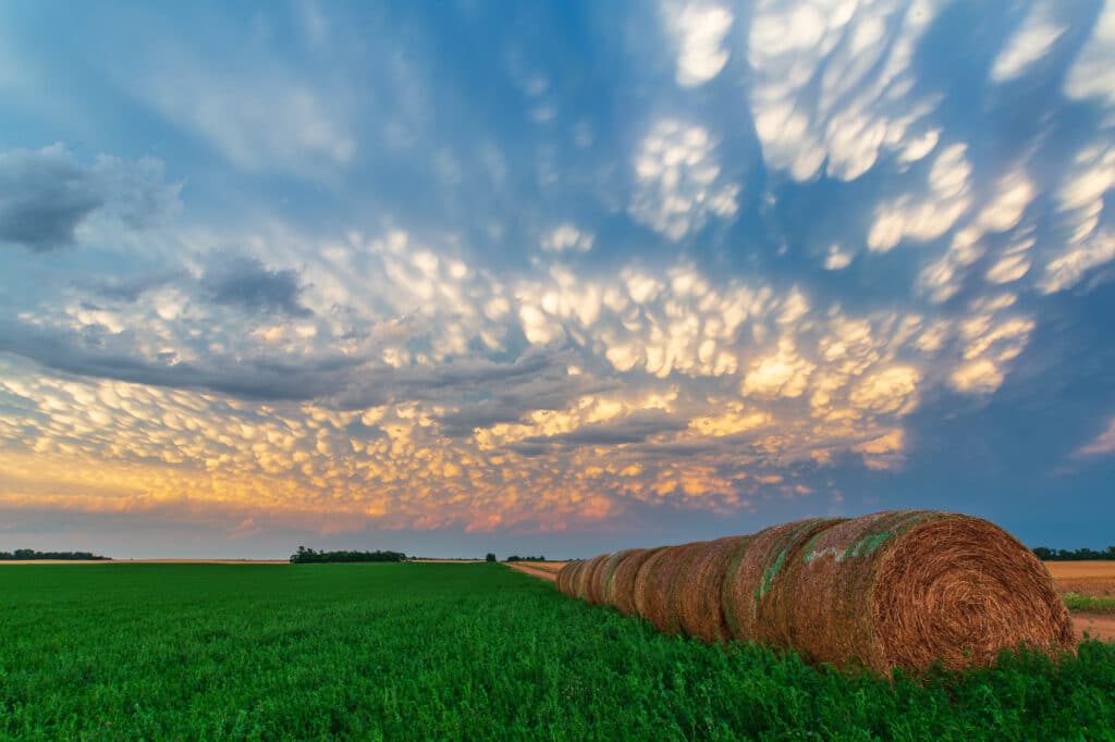 Central Kansas Mammatus June 15, 2017