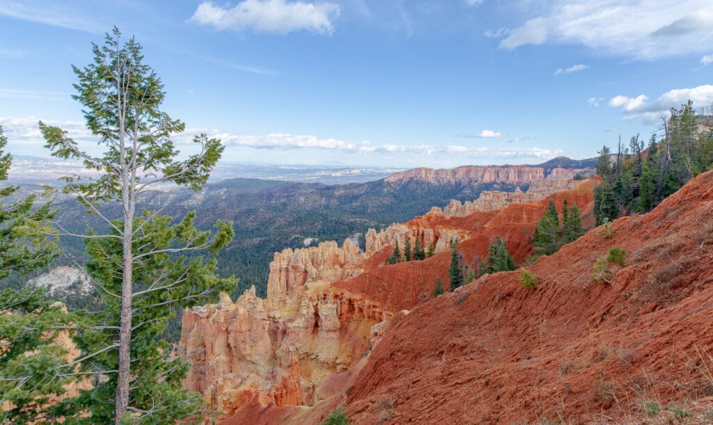 Agua Canyon