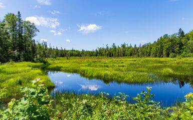 Michigan's Upper Peninsula