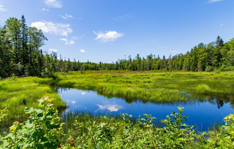 Michigan's Upper Peninsula