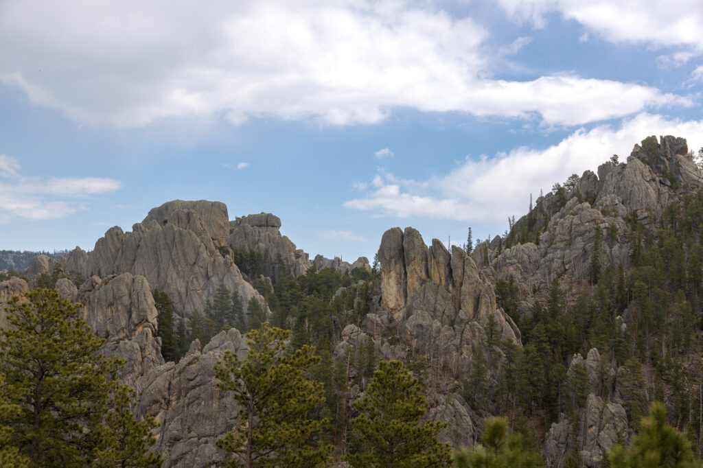 Mountain in Custer State Park