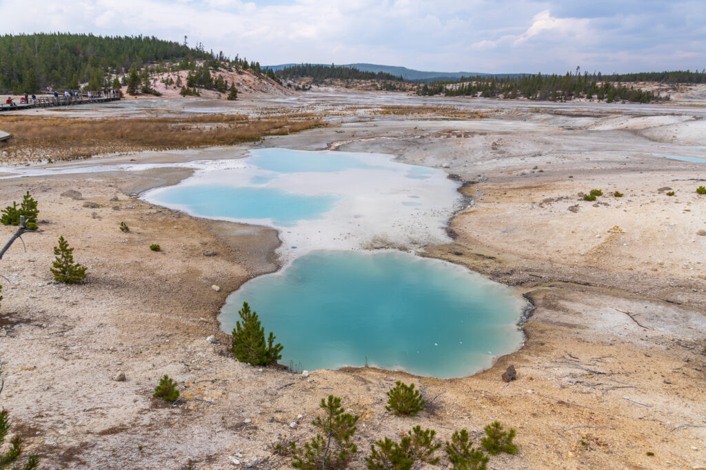 Colloidal Pool